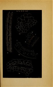 n204_w1150