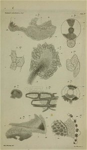 n284_w1150