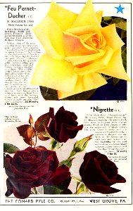 n33_w1150