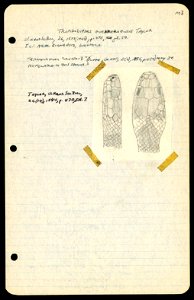 n173_w1150