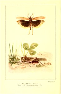 n59_w1150