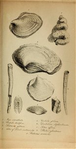 n584_w1150