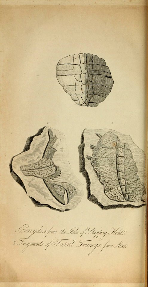 n345_w1150