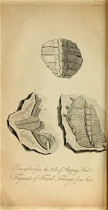 n345_w1150