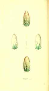 n157_w1150
