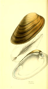 n69_w1150