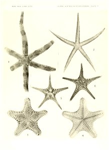 n682_w1150