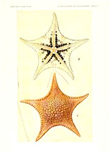 n622_w1150