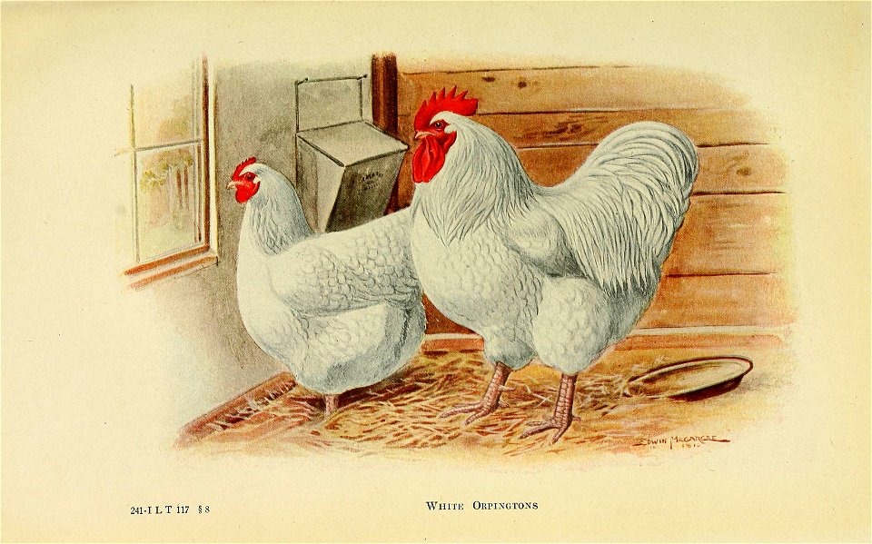 n492_w1150