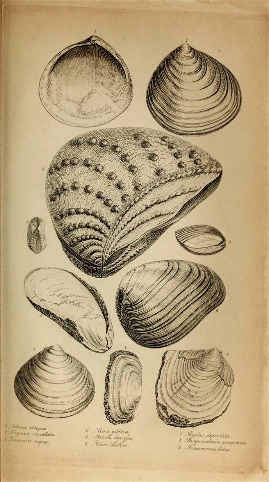 n582_w1150