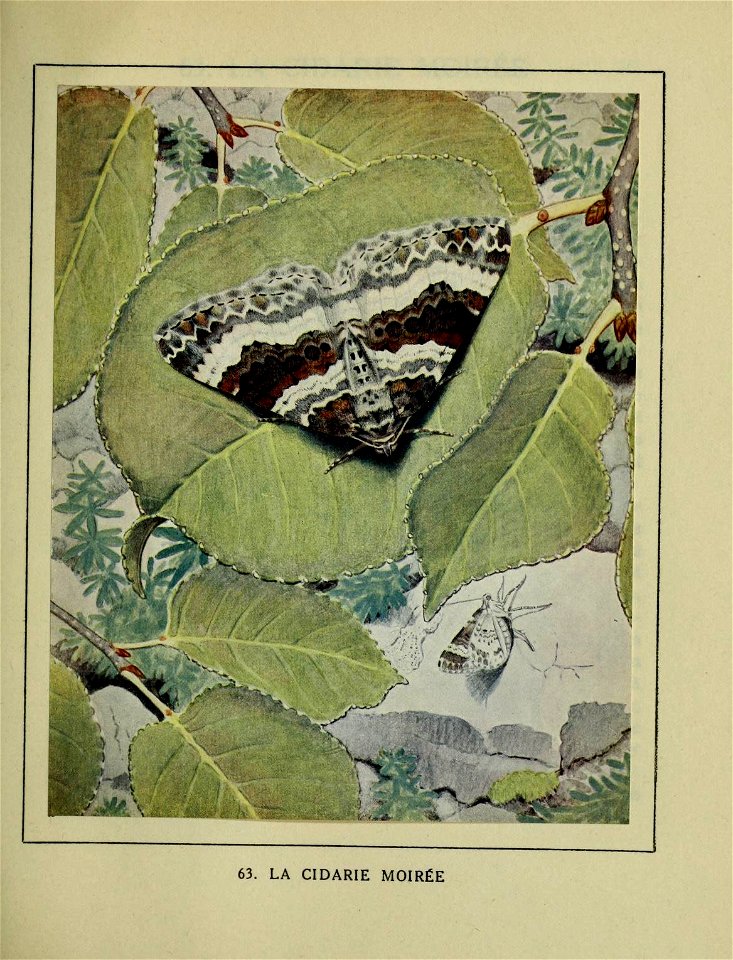 n390_w1150