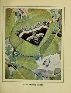 n390_w1150