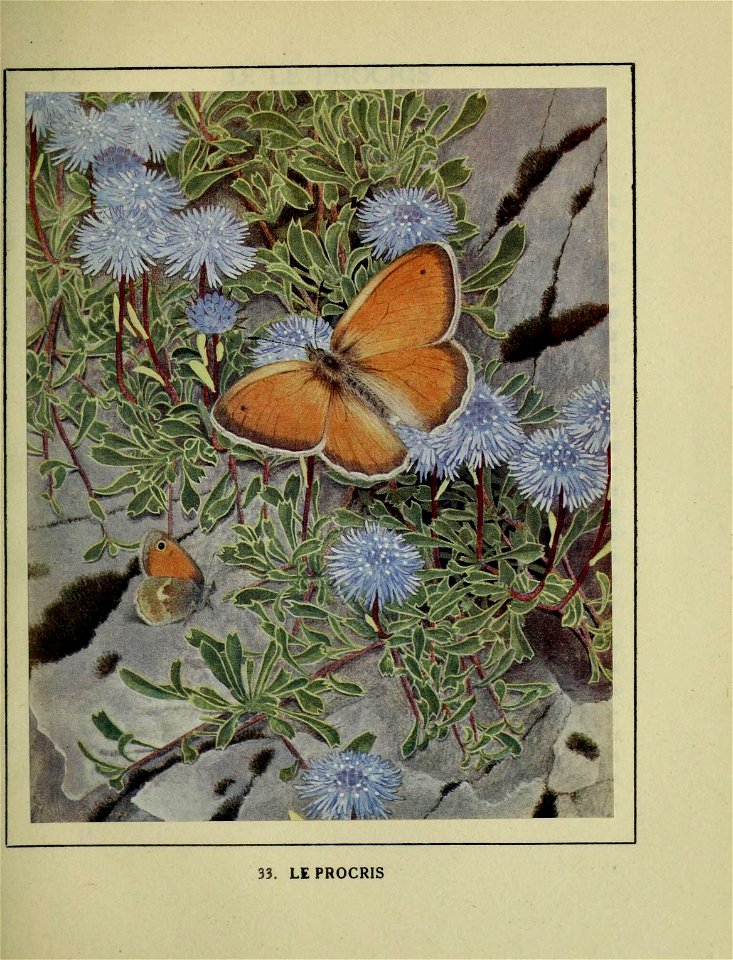 n210_w1150
