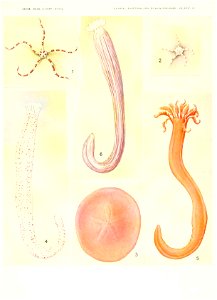 n674_w1150