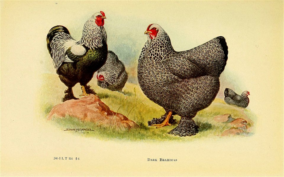 n370_w1150