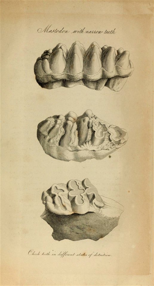 n102_w1150