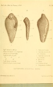 n350_w1150