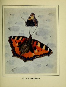 n108_w1150