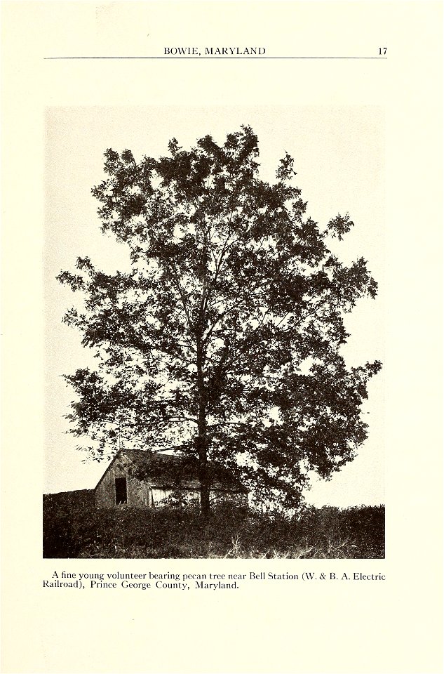 n20_w1150