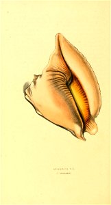 n241_w1150