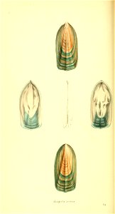 n153_w1150