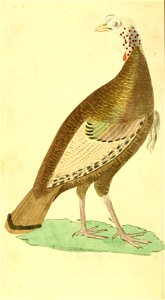n59_w1150
