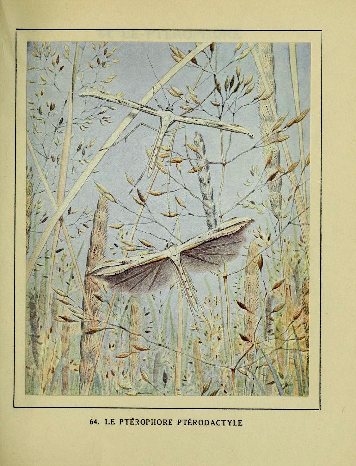 n396_w1150