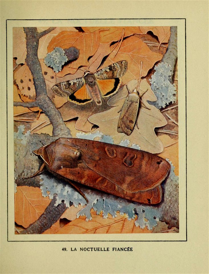 n306_w1150