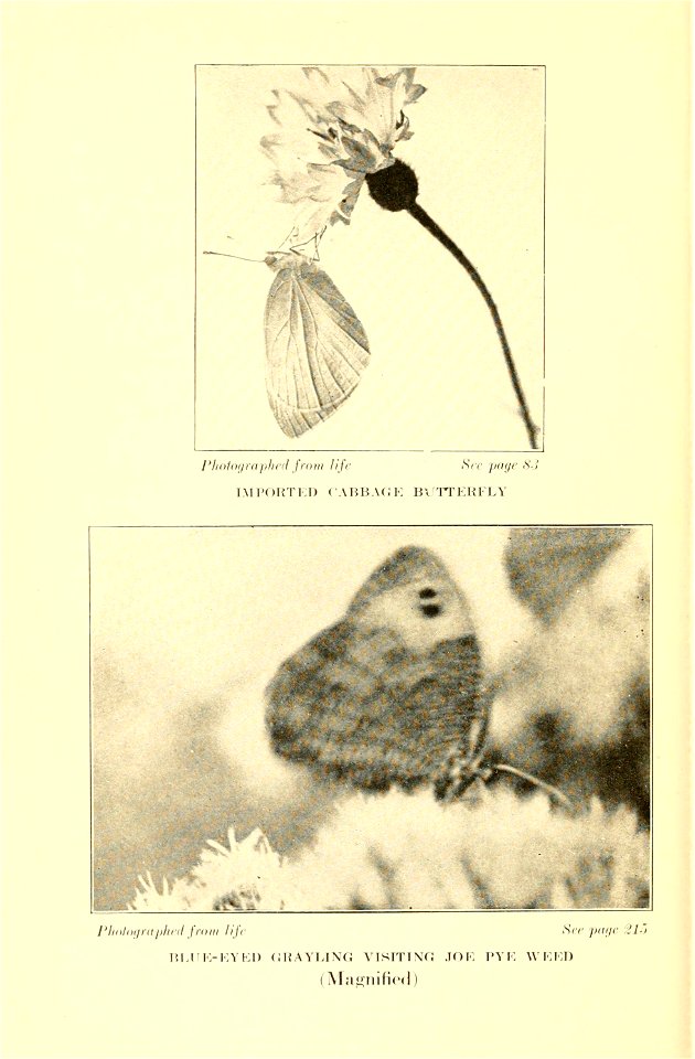 n119_w1150