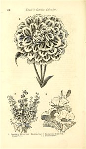 n55_w1150