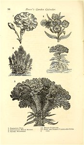 n53_w1150