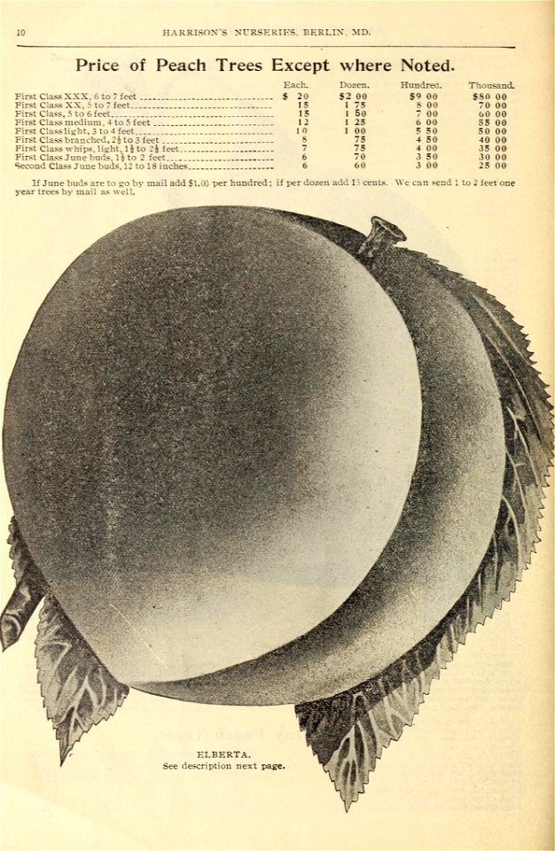 n13_w1150