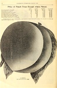 n13_w1150