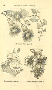 n57_w1150