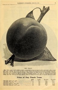 n12_w1150