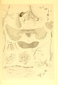 n184_w1150