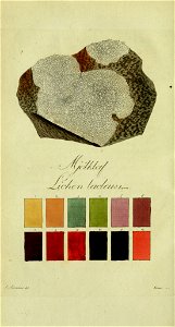 n57_w1150