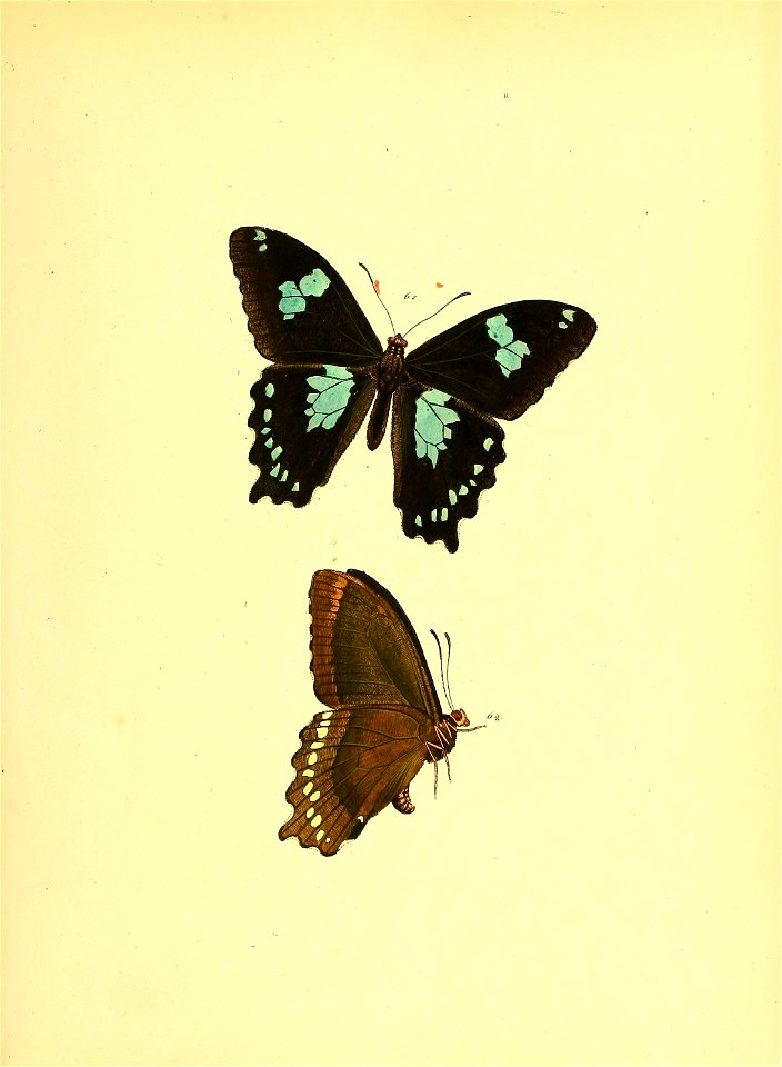 n120_w1150