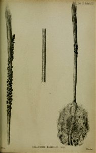 n866_w1150
