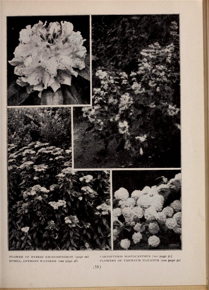 n58_w1150