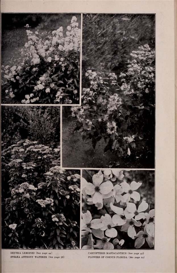 n356_w1150