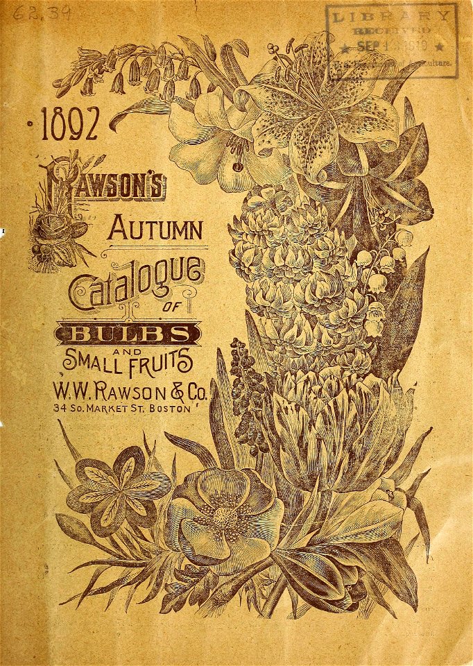 n2_w1150