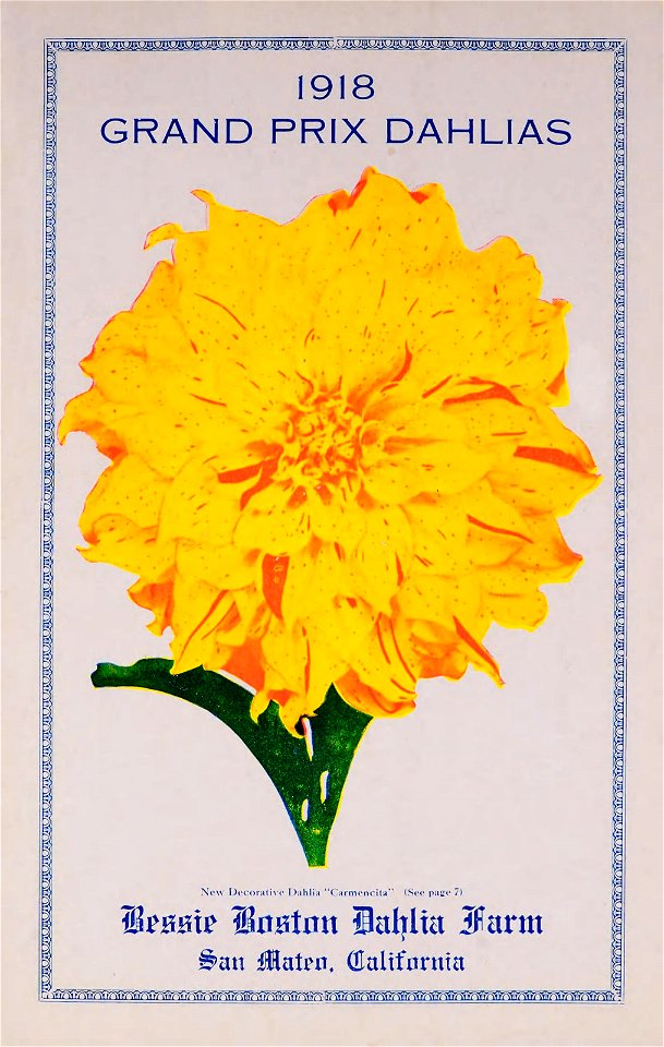 n0_w1150