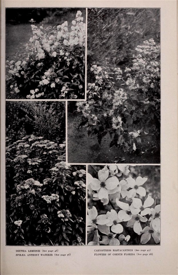 n272_w1150