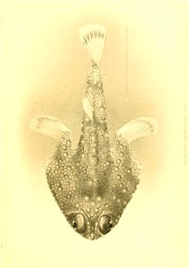 n202_w1150