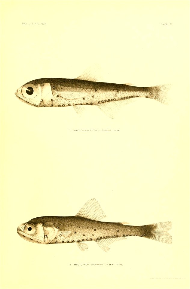 n44_w1150