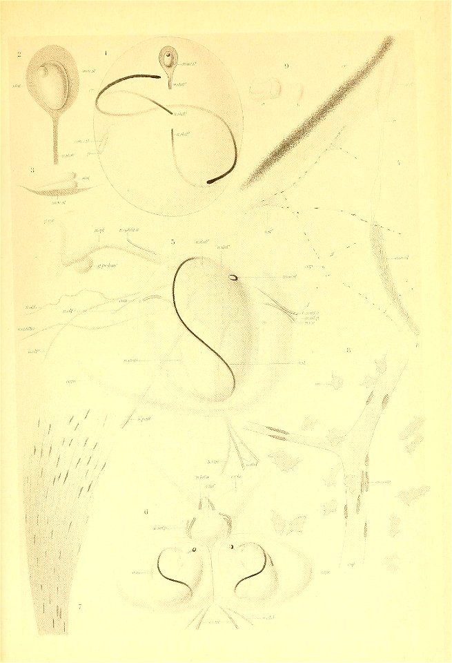 n218_w1150