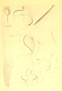 n218_w1150