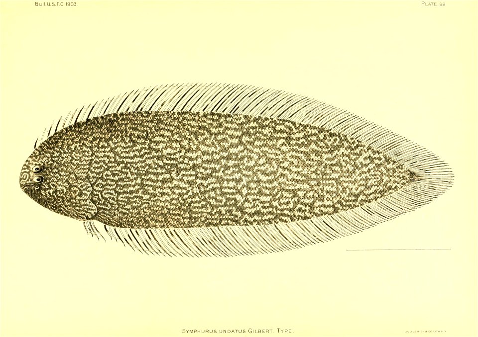 n192_w1150
