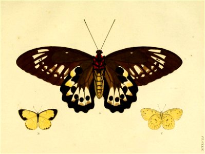 n102_w1150